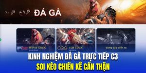 Trực Tiếp Đá Gà C3