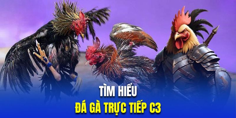 Giới thiệu đá gà C3 trực tiếp