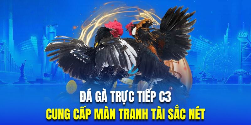 Trực tiếp đá gà C3 tại Abc8 quy tụ những màn tranh tài sắc nét